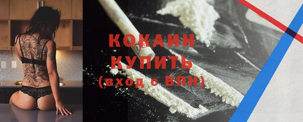 мяу мяу мука Белокуриха
