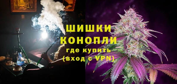 мяу мяу мука Белокуриха