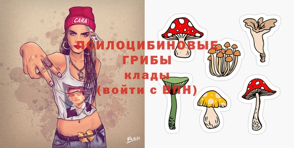 мяу мяу мука Белокуриха